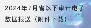 2024年7月省以下审计电子数据报送（附件下载）