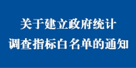 关于建立政府统计调查指标白名单的通知